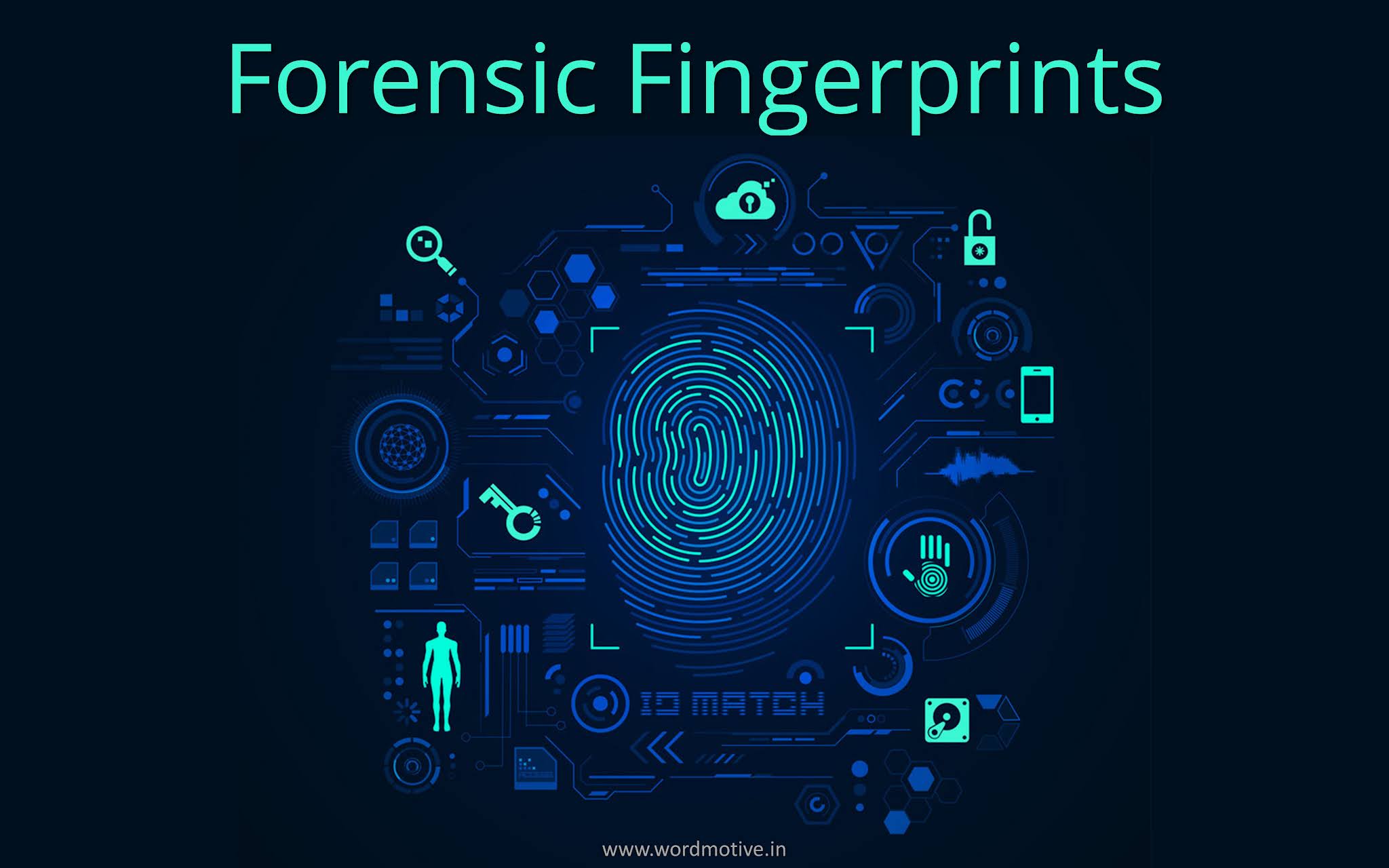 Types of Forensic Fingerprints