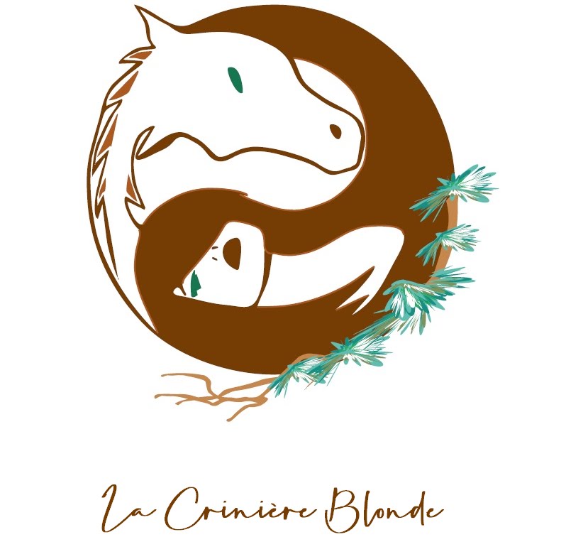 La Crinière Blonde, blog de réflexions équestres.