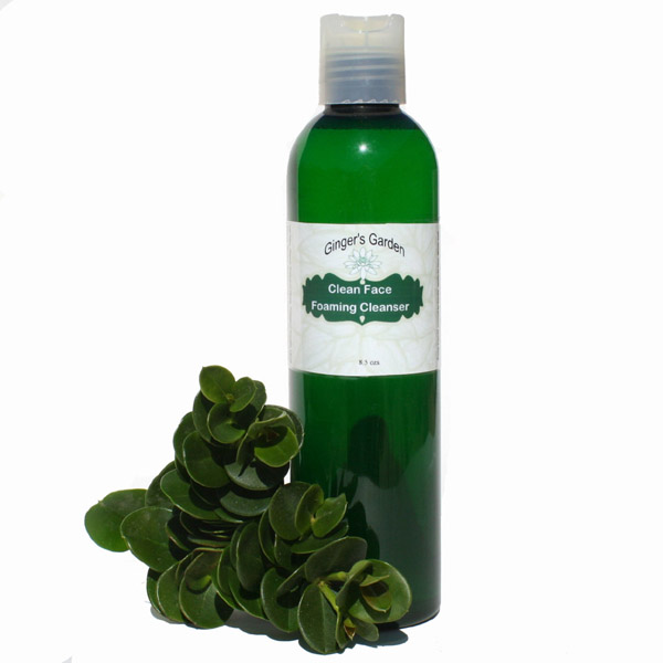 Ginger's Garden Handmade Artisan Soap Ginger's Garden Natural