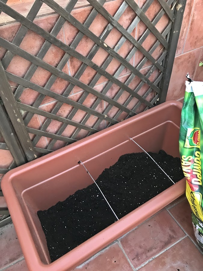 Preparar para trasplantar flores