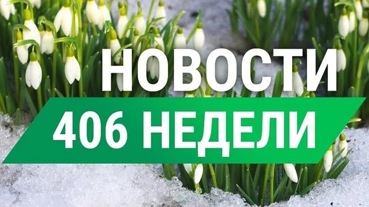 Недельный отчет от проекта СуперКопилка Недельный отчет от СуперКопилки
