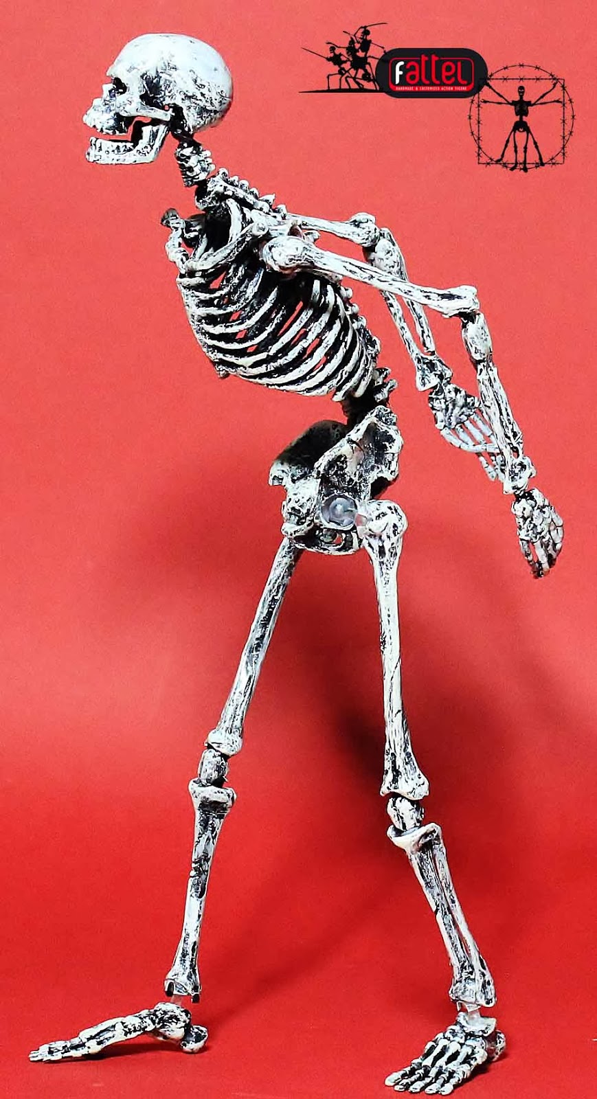 Action figure skeleton by Fattel: 1/6 skeleton 2014 by fattel