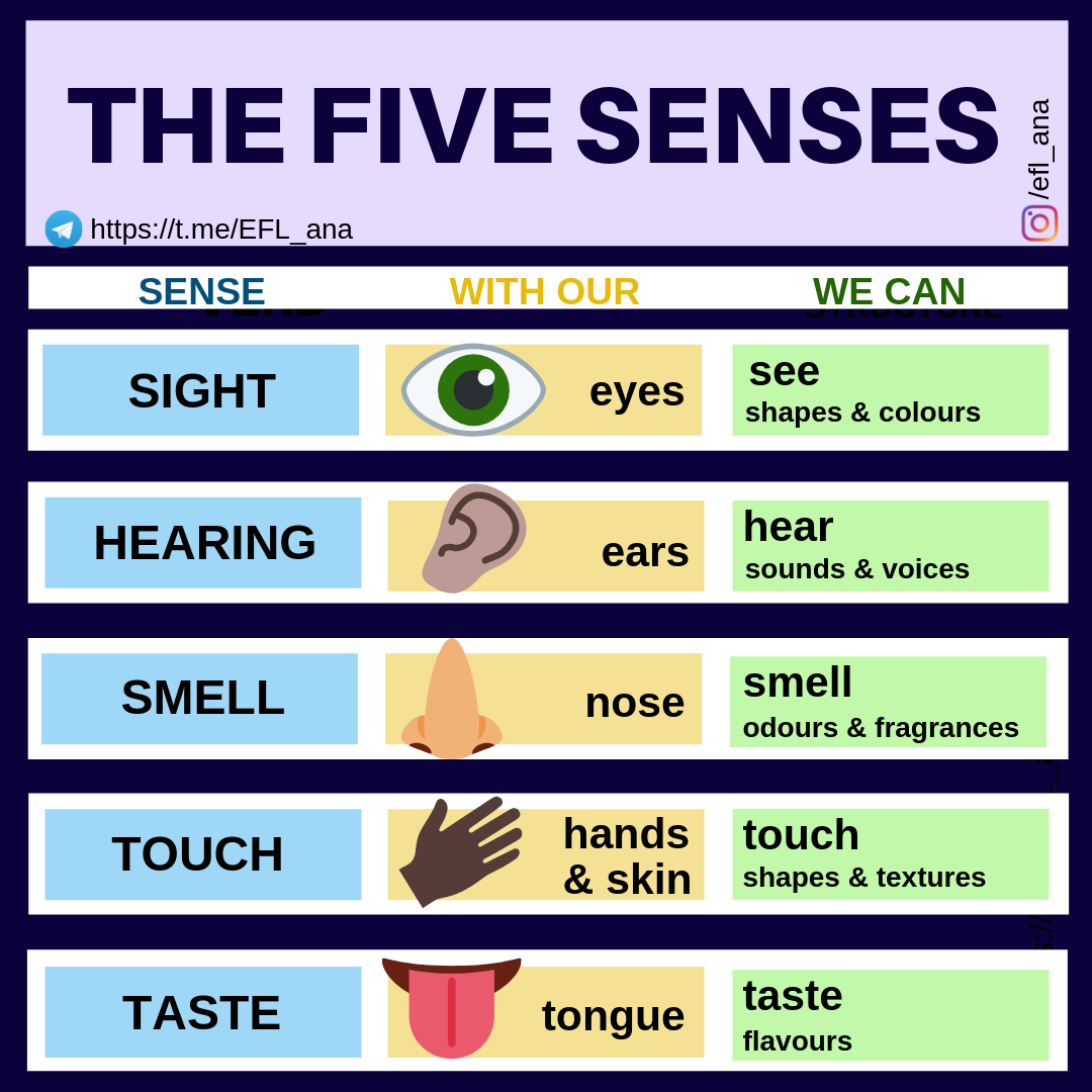 Cpi Tino Grandío Bilingual Sections The Five Senses