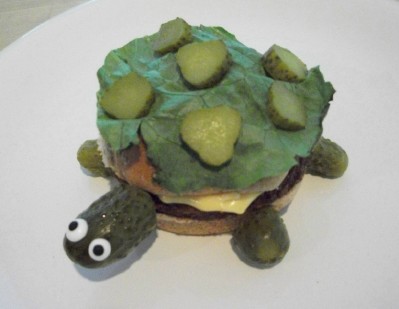 Image result for pickle turtle