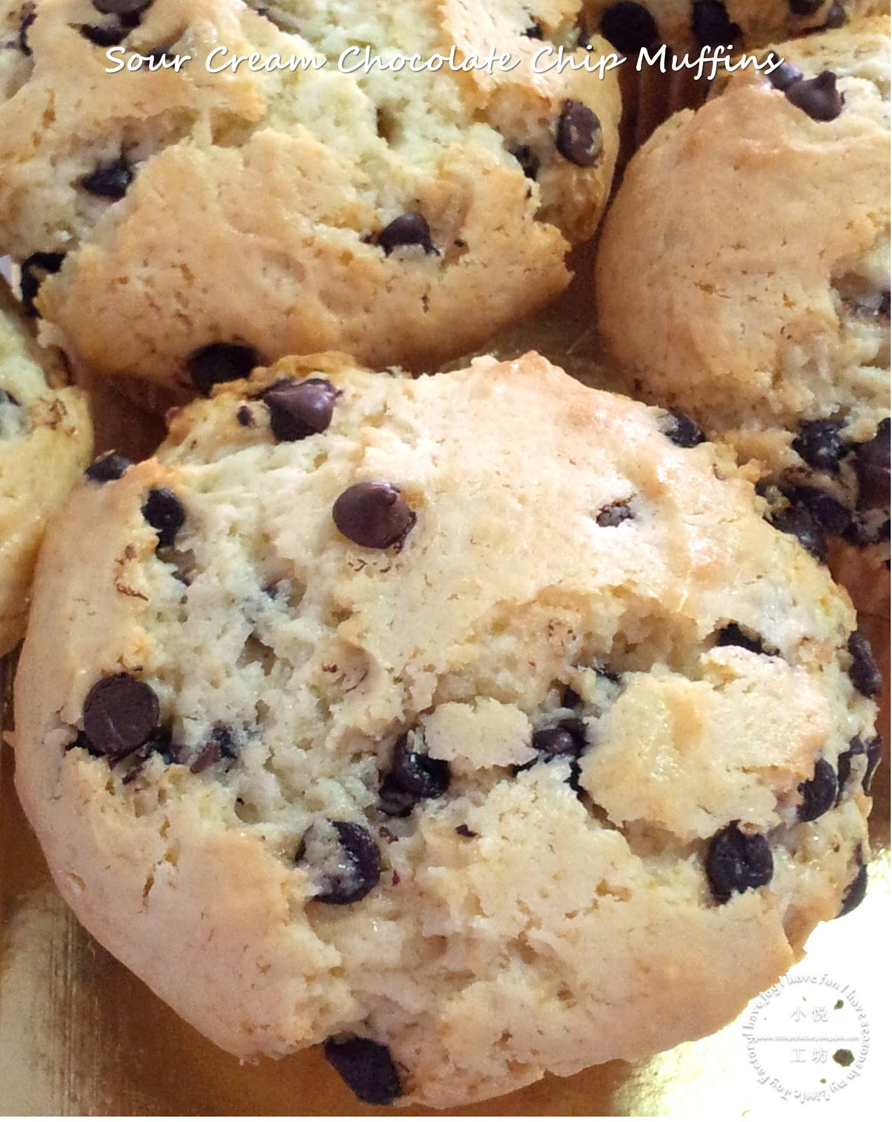 Sour Cream Chocolate Chip Muffins 酸奶油巧克力粒瑪芬