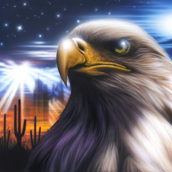 Silica Gel – Desert Eagle – Single