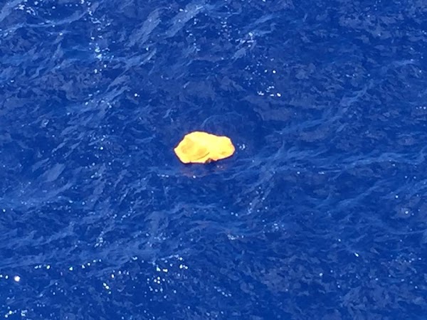 Un atentado pudo ser la causa del siniestro del avión de EgyptAir Un atentado pudo ser la causa del siniestro del avión de EgyptAir