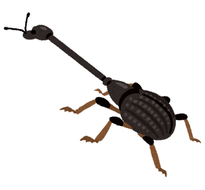 ロクロクビオトシブミのイラスト かわいいフリー素材集 いらすとや