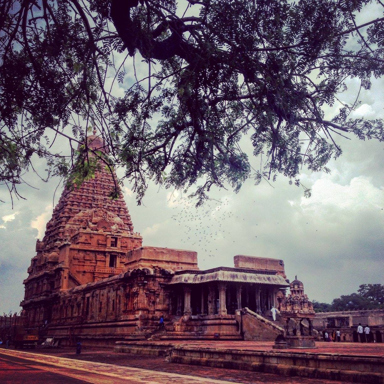 Brihadeeswara temple and trees in thanjavur india