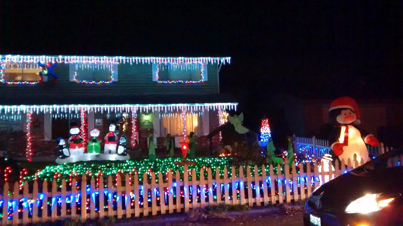 Stacy and Oscar Hunt Christmas in the Northwest Part IV Fir Grove