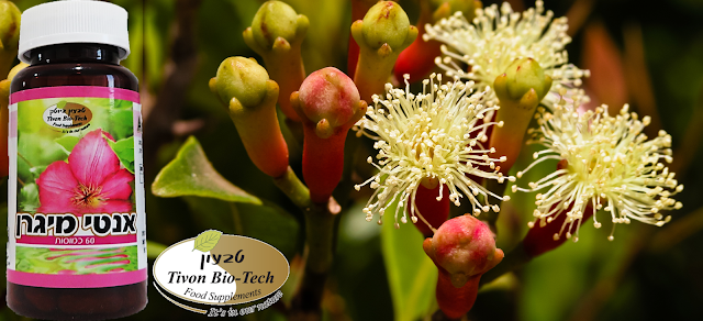 אתר טבעון ויטמין ביוטק