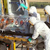 Posibles causas de contagio del ébola fuera de África