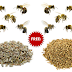 FREE Wildflowers Seeds Packet for Bees
