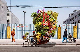 صور غريبة لحمولات عالية وزائدة ينقلها رجل بتوازن!