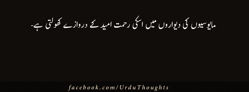 Funny Urdu Cover Photos Funny Png