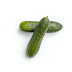  Cucumber benefits for pregnant women and fetus