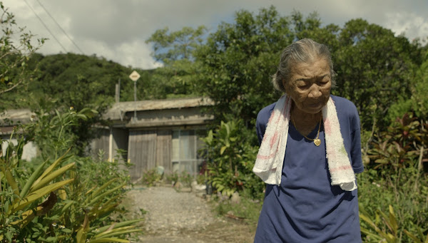 《綠色牢籠》橋間良子面對苦澀命運，依舊堅韌地活下去