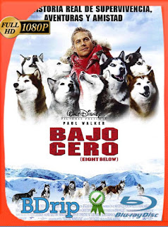 Rescate en la antártida (Eight Below) (2006) BDRIP 1080p Latino [GoogleDrive] SXGO