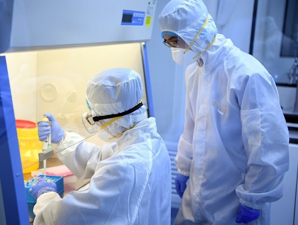 La cura del coronavirus: en China, una vacuna fue probada con éxito en animales por primera vez La cura del coronavirus: en China, una vacuna fue probada con éxito en animales por primera vez