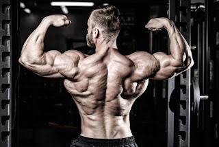 Top 5 Exercises For Building Wide Muscular Back