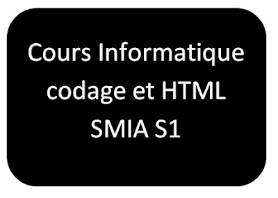 Cours Informatique SMIA S1