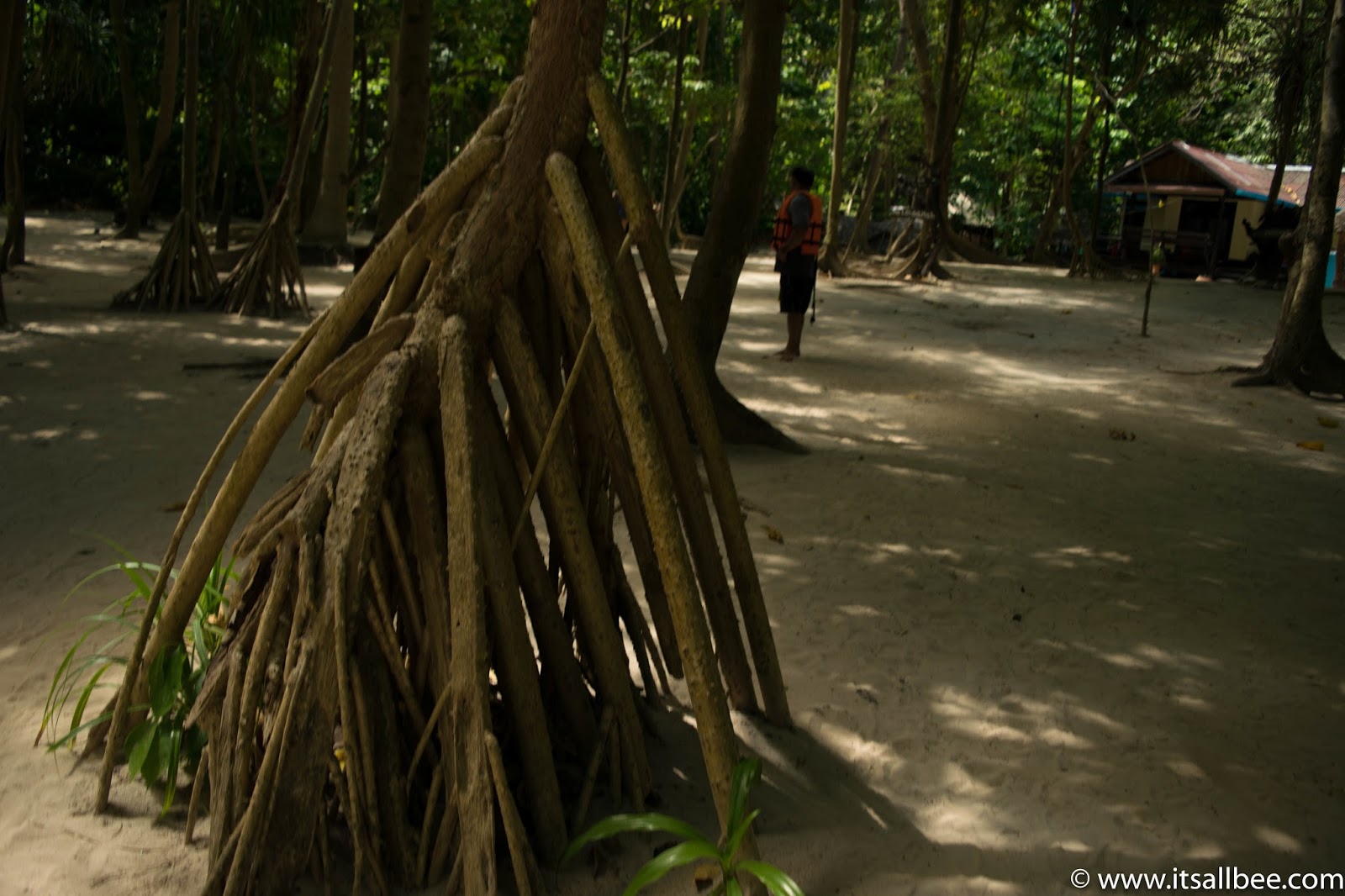 Ko Phi Phi Island - Thailand Ko Phi Phi Island - Thailand - Phi Phi Island Tour | Exploring Loh Samah Bay And Maya Bay