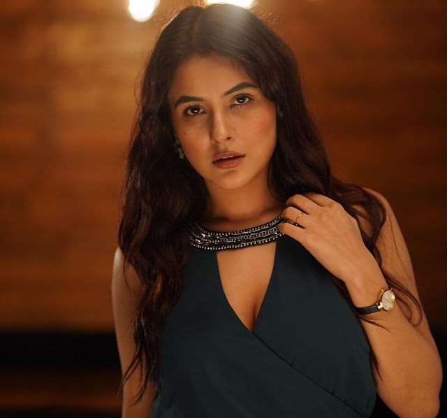 Shehnaaz Gill hits a big milestone in her career