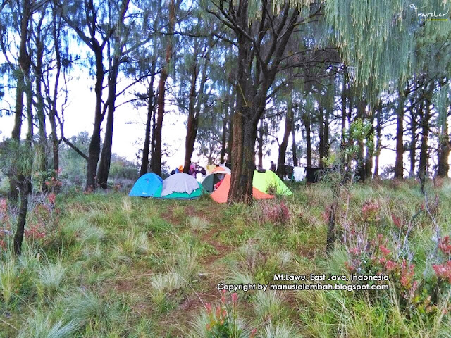 Pendakian Gunung Lawu via Candi Cetho