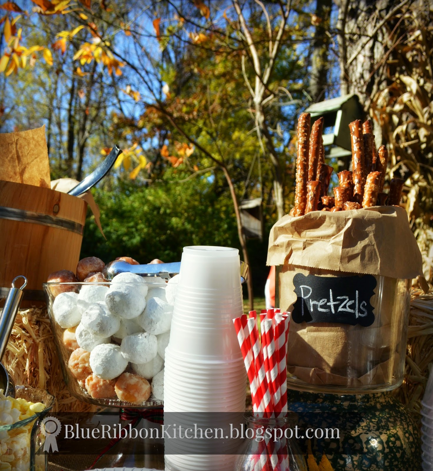 Blue Ribbon Kitchen Apple Cider & Doughnut Party