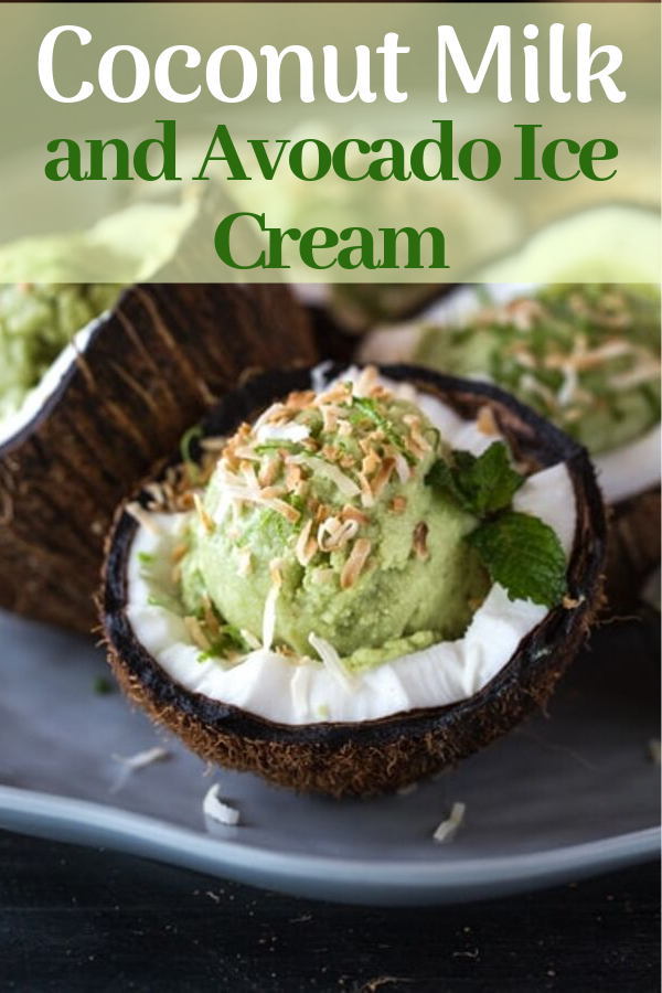 Keto Recipes | Coconut Milk and Avocado Ice Cream #coconut ...