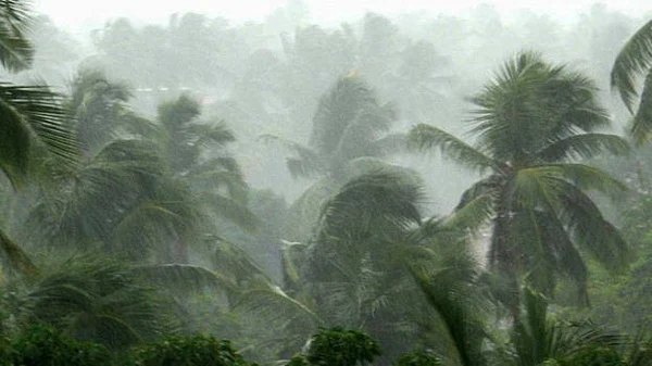 Thiruvanthapuram, News, Kerala, Heavy, Rain, Weather, Report, Heavy rain will continue today and tomorrow in Kerala: Weather report
