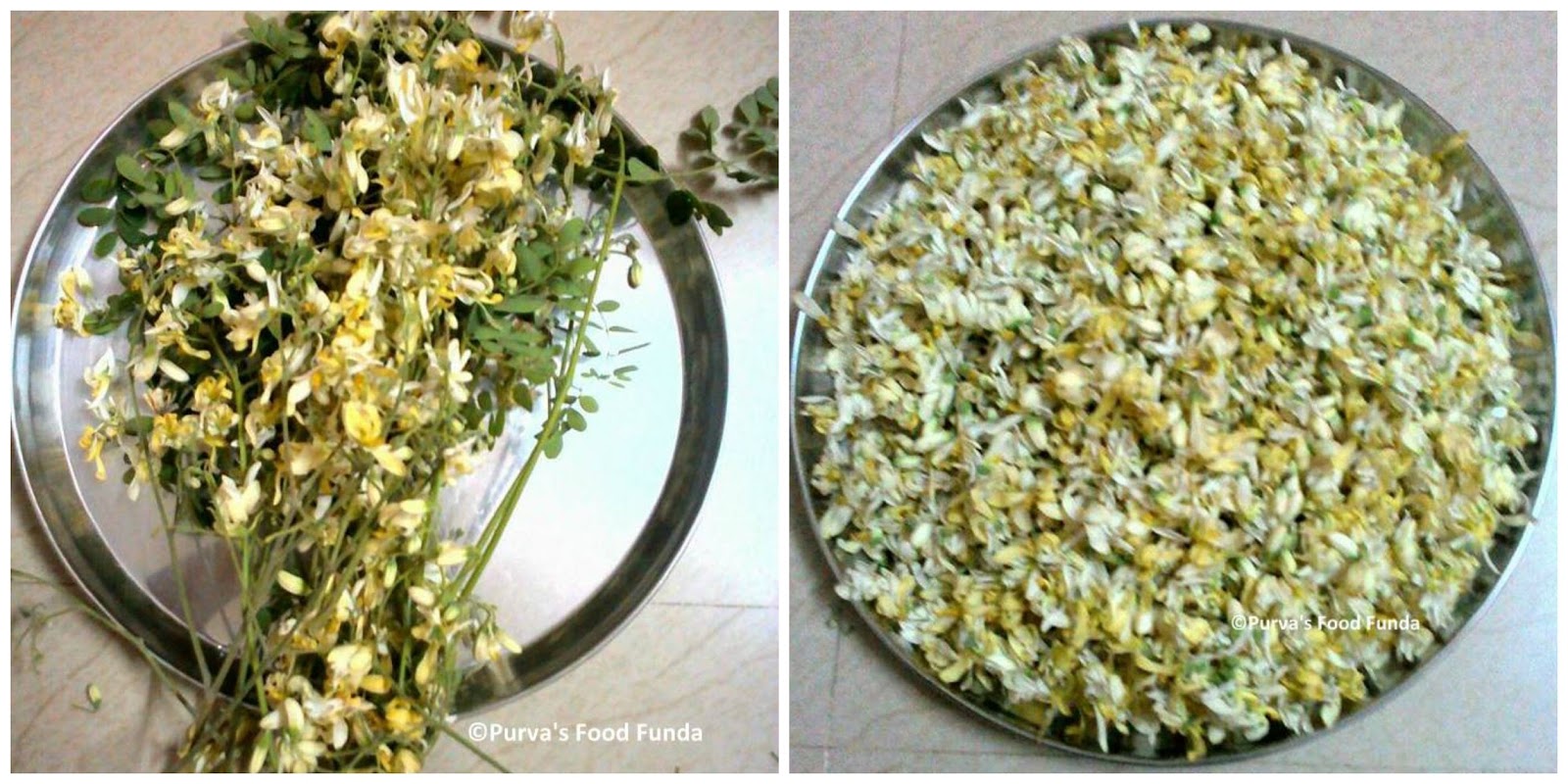 Food Funda Drumstick Flowers Cutlets Shevagyachya Fulanche Vade