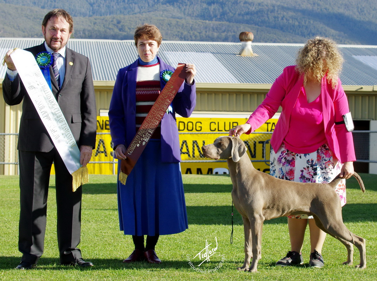 TraffordPhotos Australian Dog Show Photos 2015