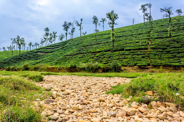 View from Kuzhankal aaru (river)