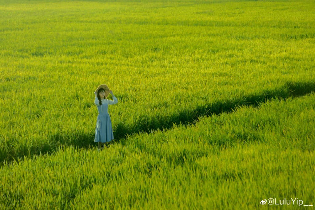 Gallery - Chinese model - countryside girl - Photographer 藏弓U - P4