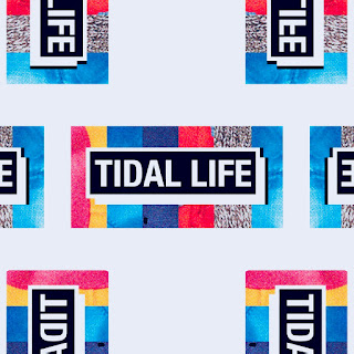 "Endless Wave" with it's dreamer than dreamy melodies is from Tidal Life's album "Do Answers Come In Dreams"
