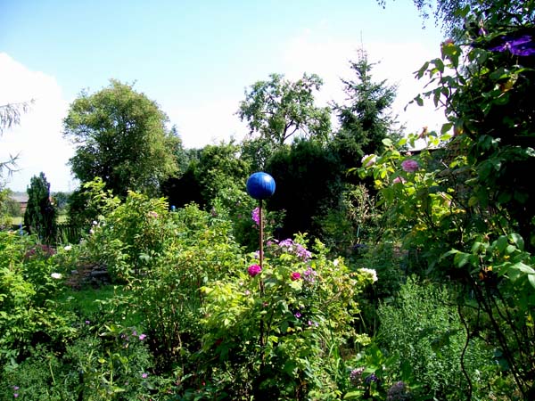 L Age Bleu Rosenpark Reconquista Rosenpark Ii