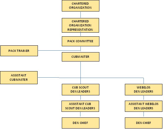 Bsa Organization Chart