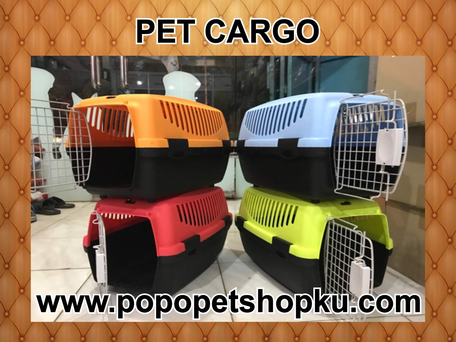 POPO PETSHOP: Tips Membawa Kucing Mudik Dengan Nyaman