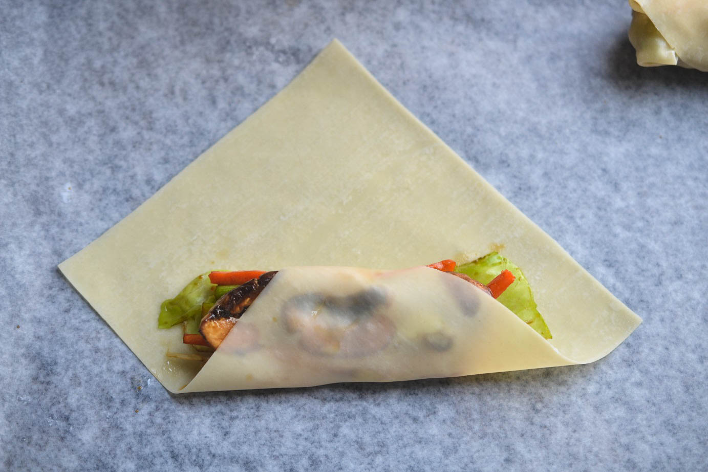 Greedy Girl Mushroom Egg rolls