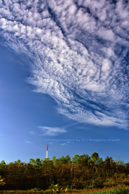 Pemandangan di sekitar tempat parkir museum. Pemandangan di sekitar tempat parkir museum.