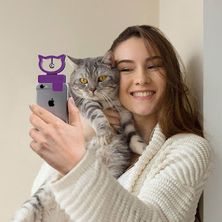 Selfies para tu gato superestrella