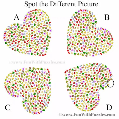 Odd One Out Picture Puzzle-Answer