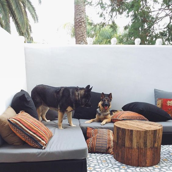 NOSSOS FIÉIS COMPANHEIROS