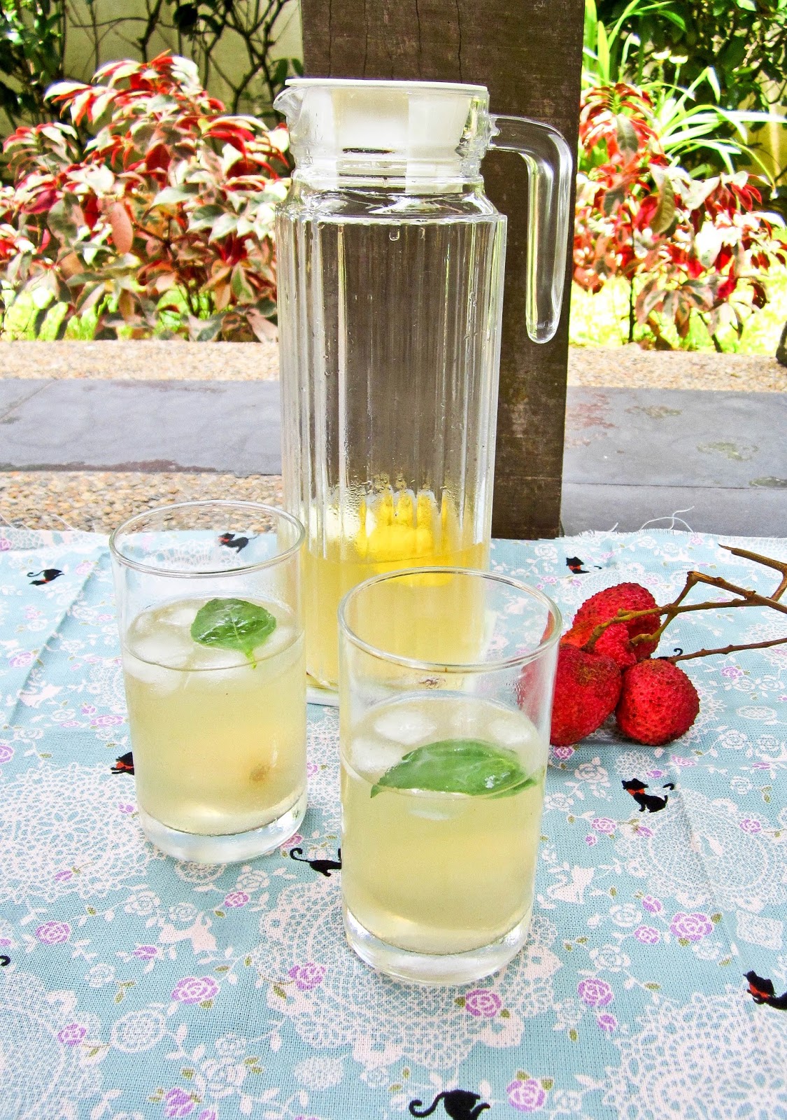 Elderflower and Ginger Beer Drink