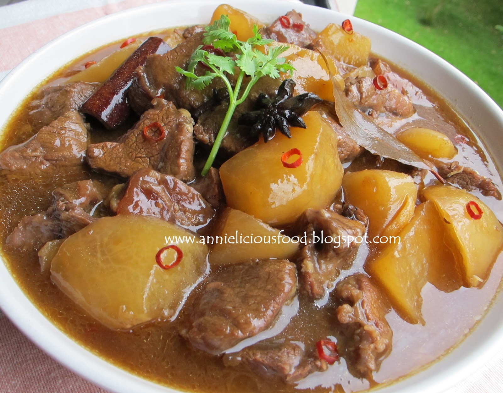 Annielicious Food Asian Style Beef Stew with Radish