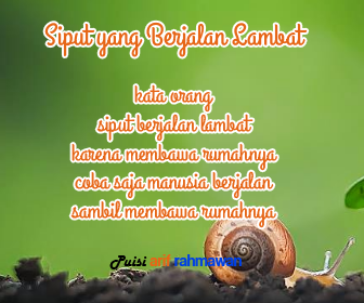 Kumpulan Puisi Siput Untuk Anak Tk Sd Dan Smp Operator Sekolah