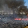 www.seuguara.com.br/queimadas/Pantal/Amazônia/Rede/STF/