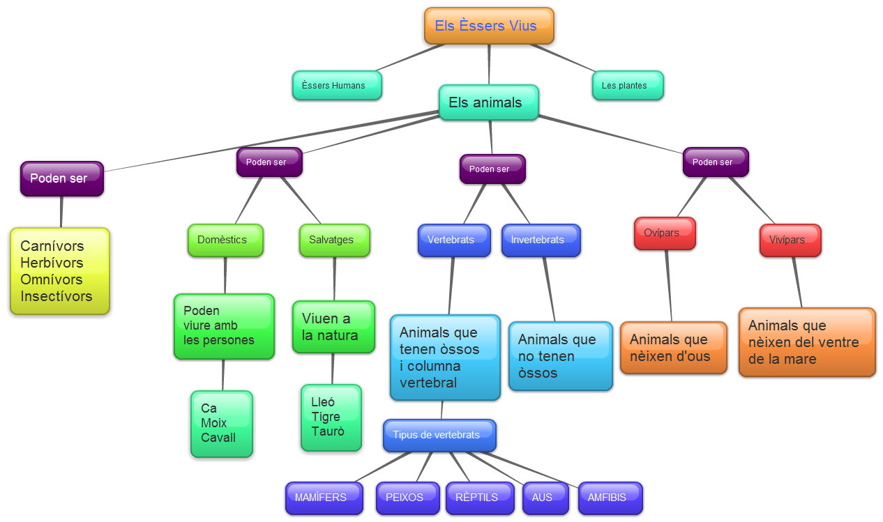 EL RACÓ DE LA CLASSE DE 3r Ceip Son Rullan 23/24: NATURALS MAPES ...
