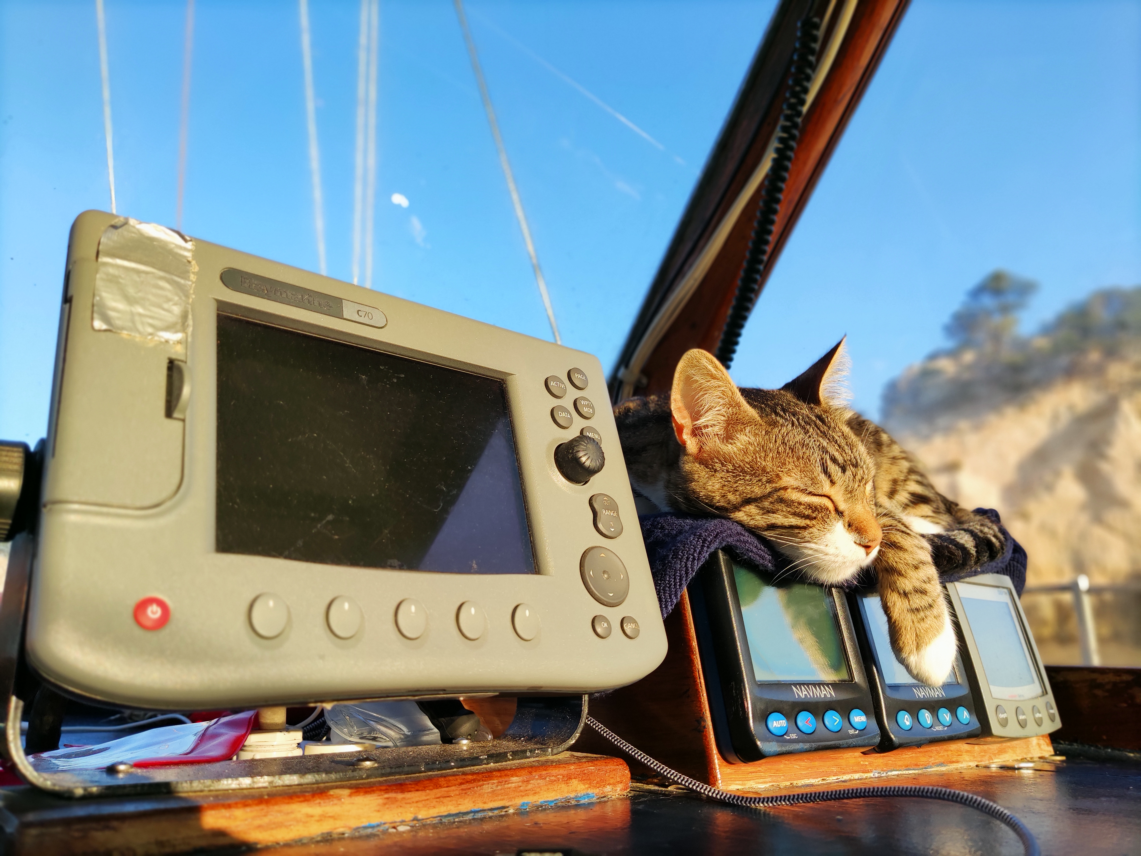 [Imagen: IMG_20210714_072337.jpg]